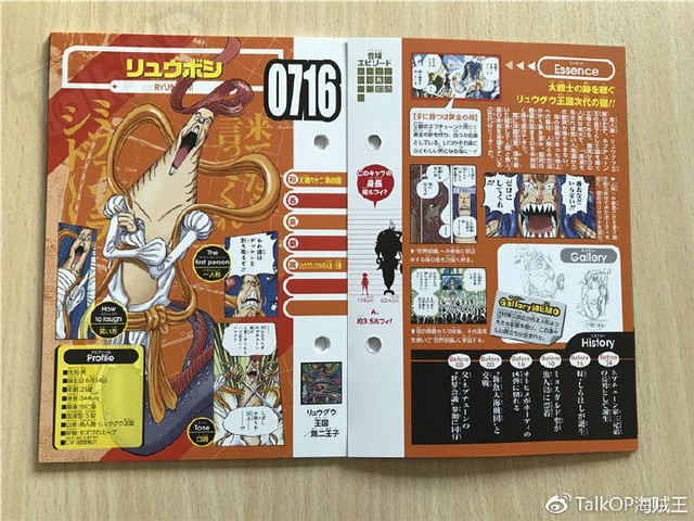 One Piece: Hé lộ thông tin về Người đàn ông nguy hiểm nhất thế giới Monkey D. Dragon, ông bố trong truyền thuyết của Luffy - Ảnh 21.