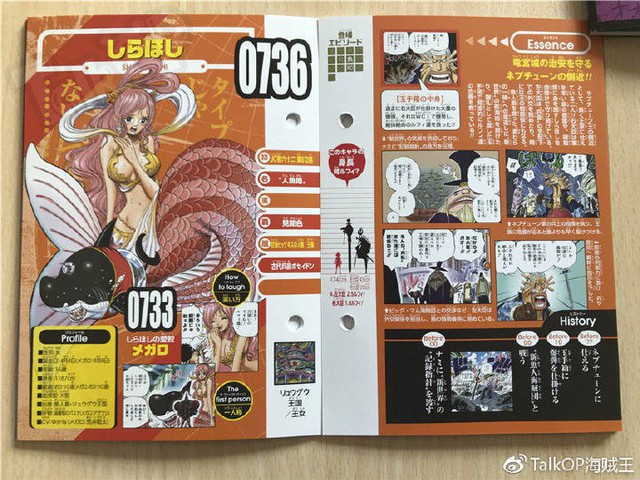 One Piece: Hé lộ thông tin về Người đàn ông nguy hiểm nhất thế giới Monkey D. Dragon, ông bố trong truyền thuyết của Luffy - Ảnh 26.