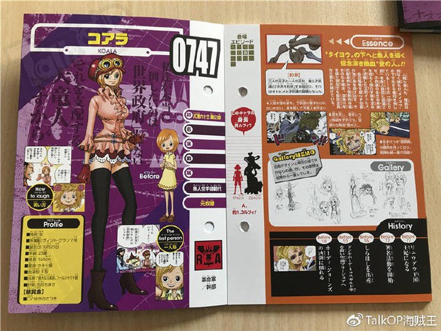 One Piece: Hé lộ thông tin về Người đàn ông nguy hiểm nhất thế giới Monkey D. Dragon, ông bố trong truyền thuyết của Luffy - Ảnh 30.