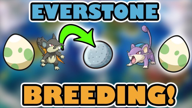 Viên đá Everstone có thật sự hữu dụng với các game thủ Pokemon? - Ảnh 5.