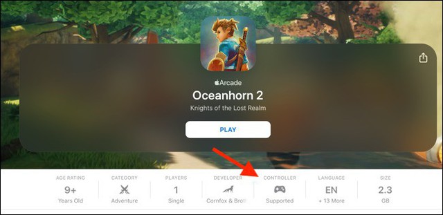 Hướng dẫn kết nối tay cầm Xbox, PS4 DualShock với iPhone và iPad - Ảnh 6. Hướng dẫn kết nối tay cầm Xbox, PS4 DualShock với iPhone và iPad - Ảnh 6.
