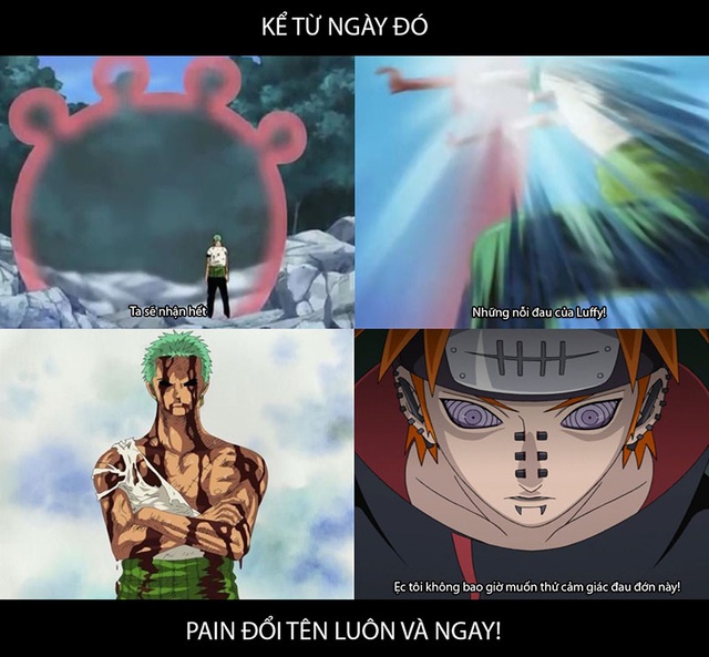 Giải trí với loạt meme về One Piece mà chỉ ‘fan cứng’ mới hiểu được - Ảnh 6.