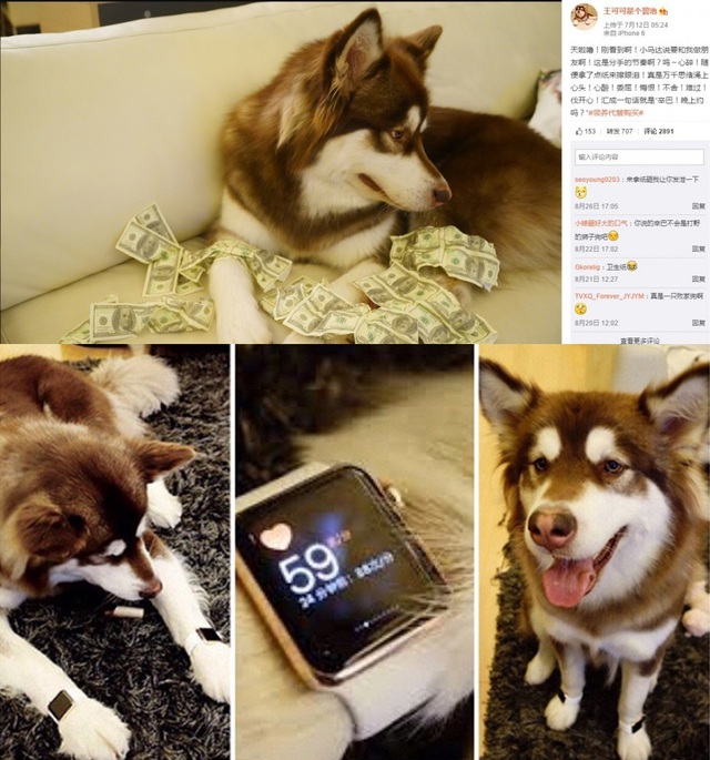 Hành trình ăn chơi của ông chủ IG Vương Tư Thông: Đeo đồng hồ cho chó, mời T-ara về biểu diễn - Ảnh 7.