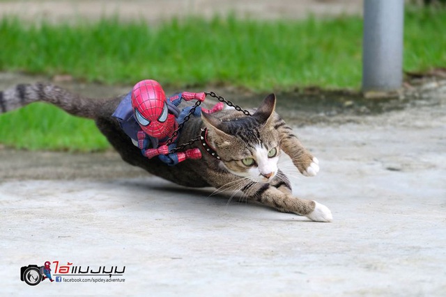 Spider-Man cùng boss mèo yêu thương nhau phiêu lưu khắp thế gian - Ảnh 1.