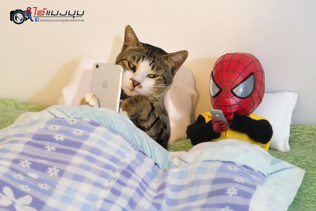 Spider-Man cùng boss mèo yêu thương nhau phiêu lưu khắp thế gian - Ảnh 2.