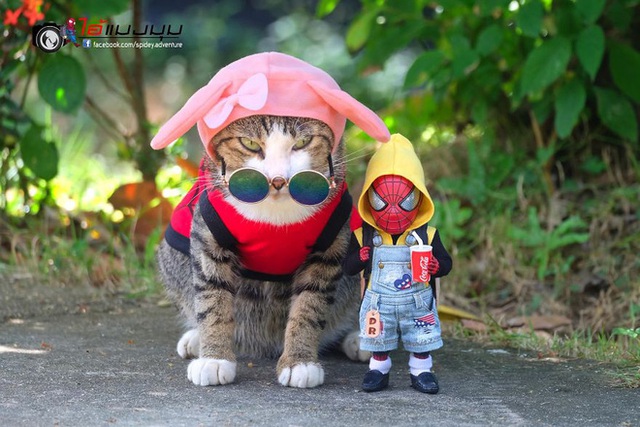 Spider-Man cùng boss mèo yêu thương nhau phiêu lưu khắp thế gian - Ảnh 12.