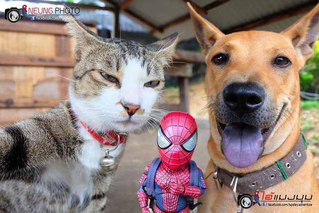 Spider-Man cùng boss mèo yêu thương nhau phiêu lưu khắp thế gian - Ảnh 13.