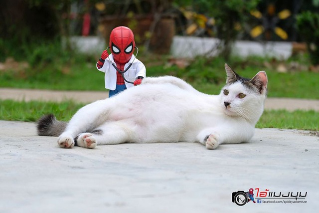 Spider-Man cùng boss mèo yêu thương nhau phiêu lưu khắp thế gian - Ảnh 14.