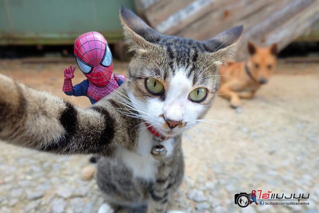Spider-Man cùng boss mèo yêu thương nhau phiêu lưu khắp thế gian - Ảnh 16.