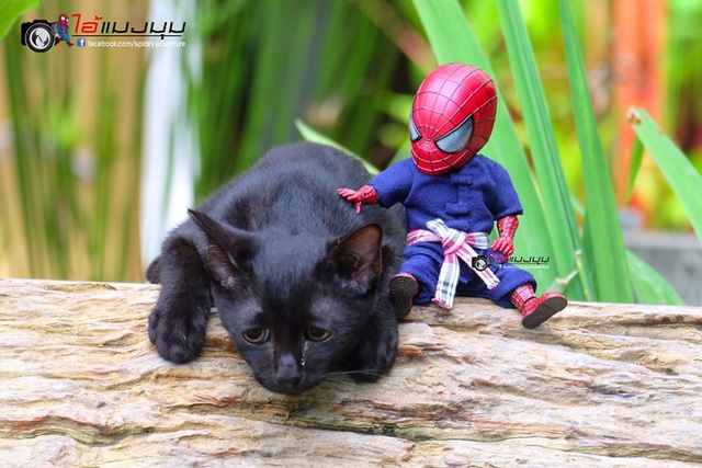 Spider-Man cùng boss mèo yêu thương nhau phiêu lưu khắp thế gian - Ảnh 17.