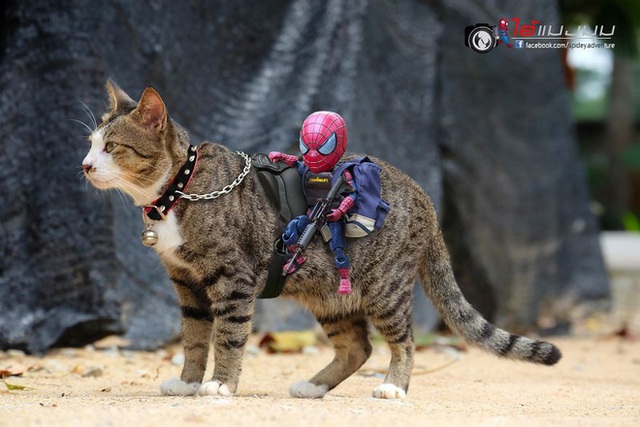 Spider-Man cùng boss mèo yêu thương nhau phiêu lưu khắp thế gian - Ảnh 18.