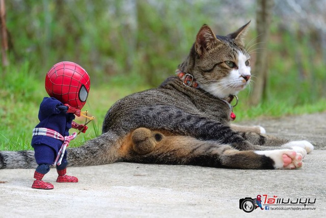 Spider-Man cùng boss mèo yêu thương nhau phiêu lưu khắp thế gian - Ảnh 3.