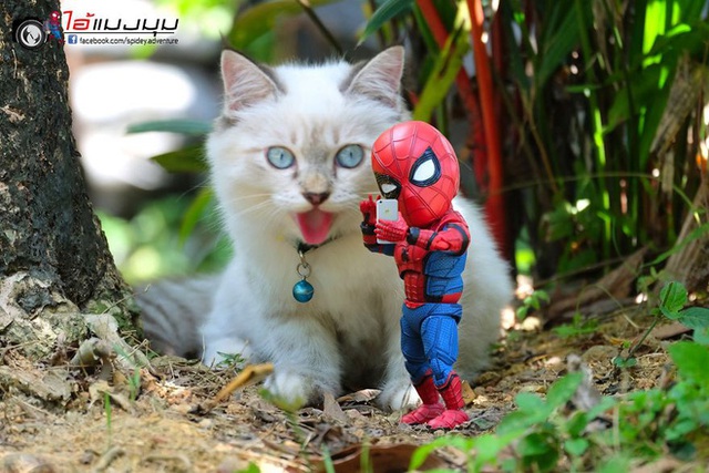 Spider-Man cùng boss mèo yêu thương nhau phiêu lưu khắp thế gian - Ảnh 20.