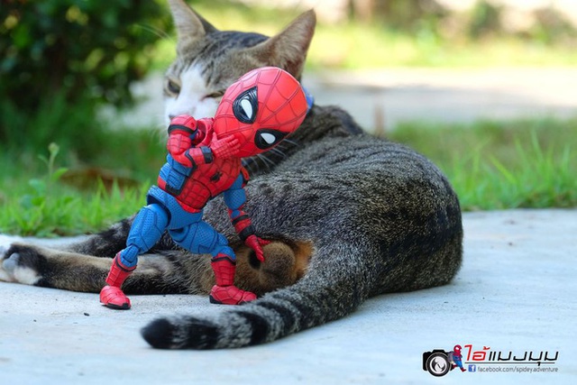 Spider-Man cùng boss mèo yêu thương nhau phiêu lưu khắp thế gian - Ảnh 21.