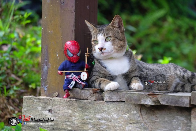 Spider-Man cùng boss mèo yêu thương nhau phiêu lưu khắp thế gian - Ảnh 26.