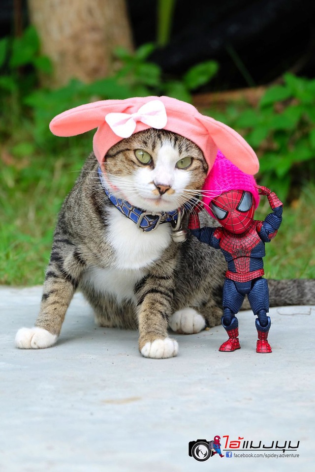 Spider-Man cùng boss mèo yêu thương nhau phiêu lưu khắp thế gian - Ảnh 27.