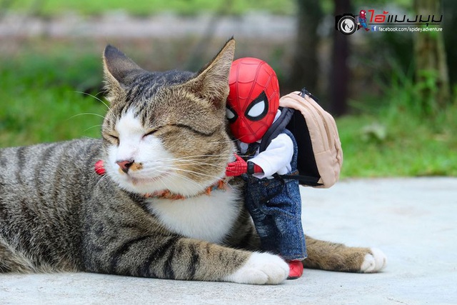 Spider-Man cùng boss mèo yêu thương nhau phiêu lưu khắp thế gian - Ảnh 4.