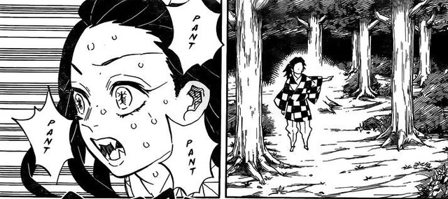 Phân tích Kimetsu no Yaiba chương 185: Ai là người tiếp theo sẽ ngã xuống và Tanjiro sẽ sống sót bằng cách nào? - Ảnh 8.