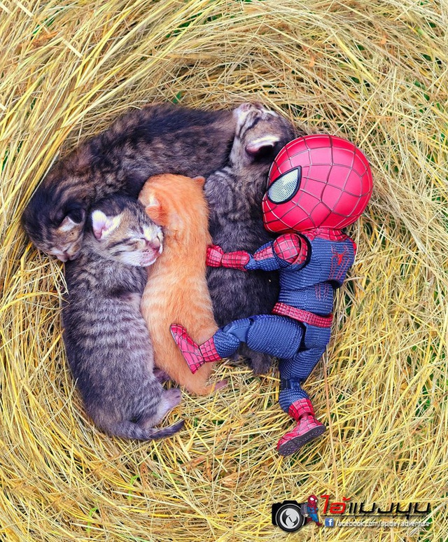 Spider-Man cùng boss mèo yêu thương nhau phiêu lưu khắp thế gian - Ảnh 8.