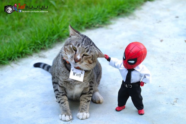 Spider-Man cùng boss mèo yêu thương nhau phiêu lưu khắp thế gian - Ảnh 9.