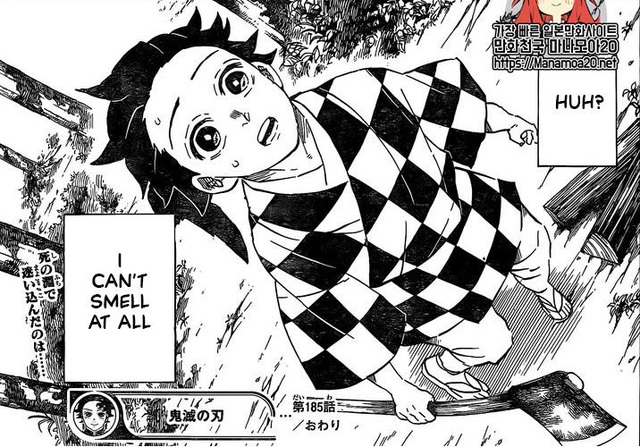 Phân tích Kimetsu no Yaiba chương 185: Ai là người tiếp theo sẽ ngã xuống và Tanjiro sẽ sống sót bằng cách nào? - Ảnh 10.