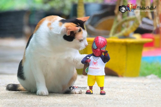 Spider-Man cùng boss mèo yêu thương nhau phiêu lưu khắp thế gian - Ảnh 10.