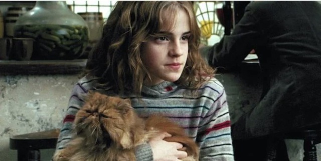 Harry Potter: Hộp Ăn vặt Giả bệnh và 10 thứ tuyệt vời nhất bạn nên mua tại Hẻm Xéo - Ảnh 4.