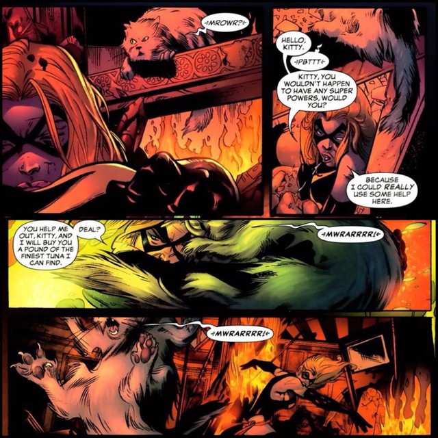 8 sự thật thú vị về Goose, Đại Boss trong Captain Marvel khiến siêu anh hùng mạnh nhất vũ trụ cũng phải chịu kiếp con sen - Ảnh 3.
