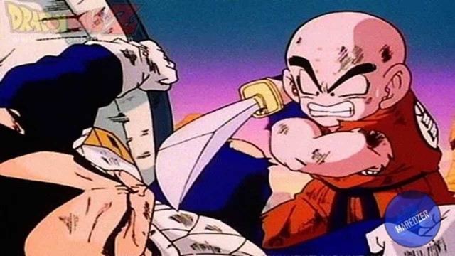 Dragon Ball: Đường đường là hoàng tử kiêu hãnh của tộc Saiyan nhưng Vegeta lại bị ăn hành nhiều không đếm xuể trong cả bộ truyện - Ảnh 1.