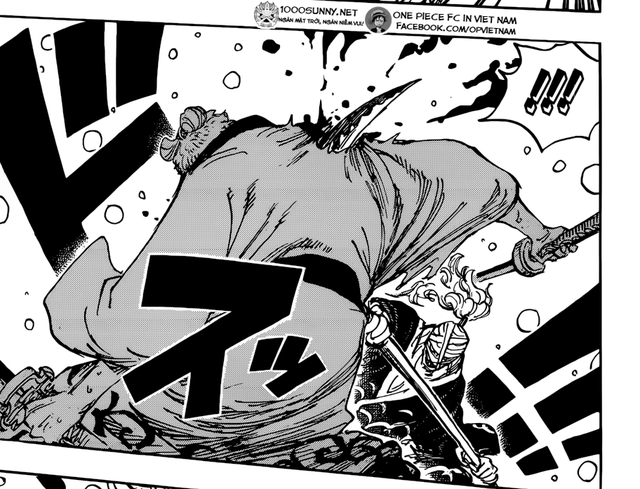 Spoiler One Piece 938: Hóa ra mỹ nhân Zoro cứu mạng chính là em gái của Chúa công Momonosuke - Ảnh 3.