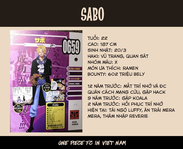 One Piece Vivre Card tháng 3: Hé lộ nhiều thông tin quan trọng về Hải quân và Quý tộc Thế Giới - Ảnh 6.