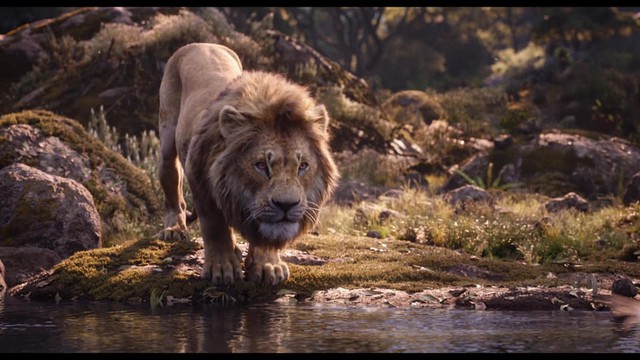 The Lion King tung trailer chính thức: Vua Sư Tử Simba lộ diện với phong cách hoàn toàn mới - Ảnh 8.