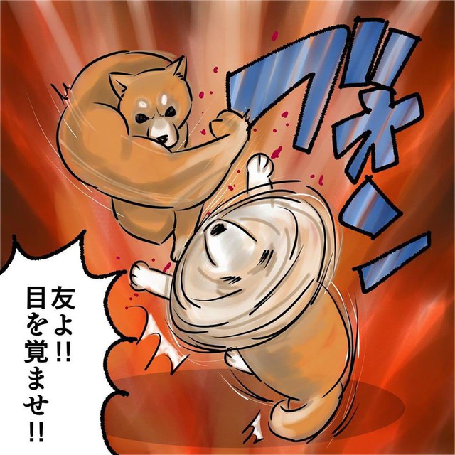 Chú chó tung nắm đấm không trượt phát nào như thánh Saitama bỗng trở thành meme trên mạng xã hội - Ảnh 3.