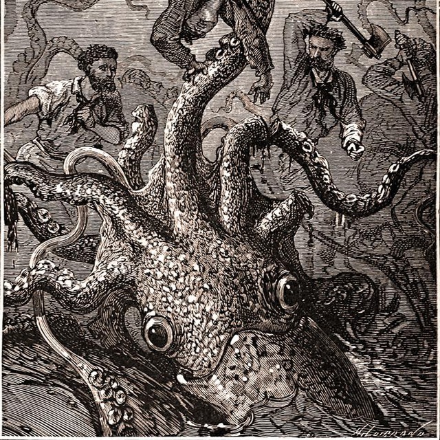 Kraken: Quái vật biển huyền thoại trong truyền thuyết Bắc Âu - Ảnh 5.
