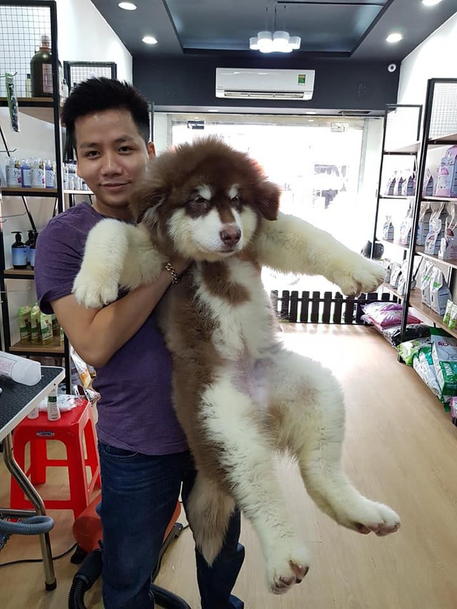 Dân mạng kéo vào đòi Khoa Pug giải cứu bánh mì PewPew bị chấm 1 sao và đây là phản hồi của YouTuber - Ảnh 5. Dân mạng kéo vào đòi Khoa Pug giải cứu bánh mì PewPew bị chấm 1 sao và đây là phản hồi của YouTuber - Ảnh 5.