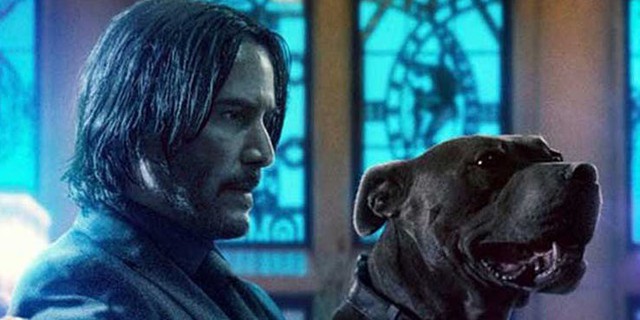 Hé lộ sở thích cực dị của ông Kẹ John Wick khiến fan phải ngỡ ngàng - Ảnh 3.