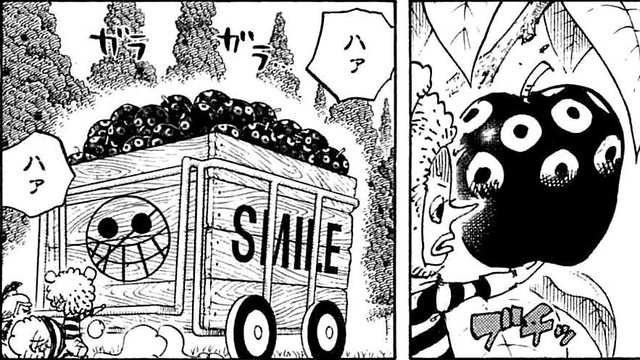 One Piece: Thánh Oda hé lộ nguồn gốc của từ SMILE - trái Ác Quỷ nhân tạo khiến fan phải rơi nước mắt - Ảnh 3.