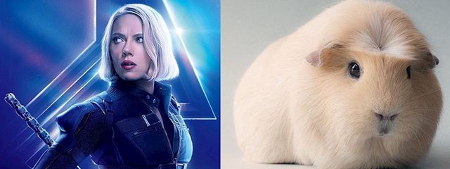 Siêu phẩm Avengers: Endgame dưới con mắt game thủ Liên Minh Huyền Thoại thì thế nào? - Ảnh 6. Siêu phẩm Avengers: Endgame dưới con mắt game thủ Liên Minh Huyền Thoại thì thế nào? - Ảnh 6.