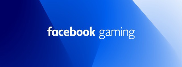 Tổ chức Giải đấu giao hữu quốc tế PUBG Mobile tại Việt Nam, Facebook Gaming là ai? - Ảnh 3.