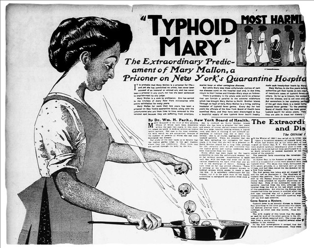Typhoid Mary: Người phụ nữ đáng sợ nhất lịch sử, gieo rắc cái chết qua từng đĩa ăn - Ảnh 1.