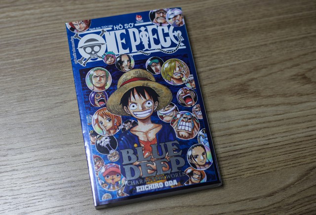 One Piece Databook siêu to khổng lồ, bộ hồ sơ tuyệt mật không thể thiếu dành cho các fan ruột - Ảnh 7.