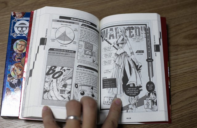 One Piece Databook siêu to khổng lồ, bộ hồ sơ tuyệt mật không thể thiếu dành cho các fan ruột - Ảnh 6.