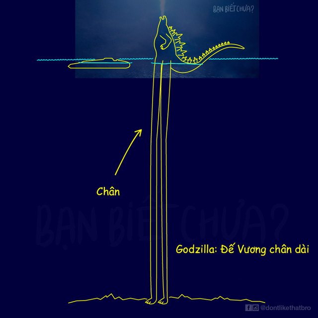 Chúa tể Godzilla: Cuộc chiến của các quái vật và chi tiết hack não muốn thử thách IQ vô cực của fan - Ảnh 10.
