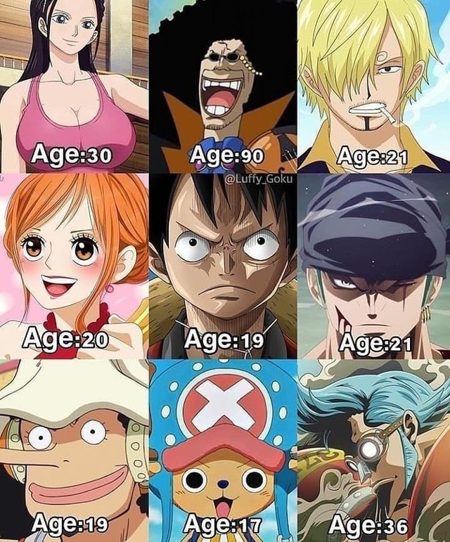 One Piece: Sắp xếp độ tuổi các nhân vật từ chính đến phụ, hóa ra Nami hơn Luffy hẳn 1 tuổi - Ảnh 11.