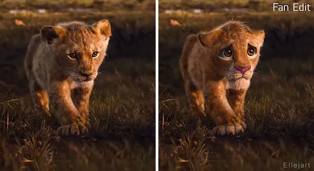 Live-action The Lion King nếu giữ nguyên phong cách nhân vật theo bản hoạt hình thì sẽ thế nào? - Ảnh 10.