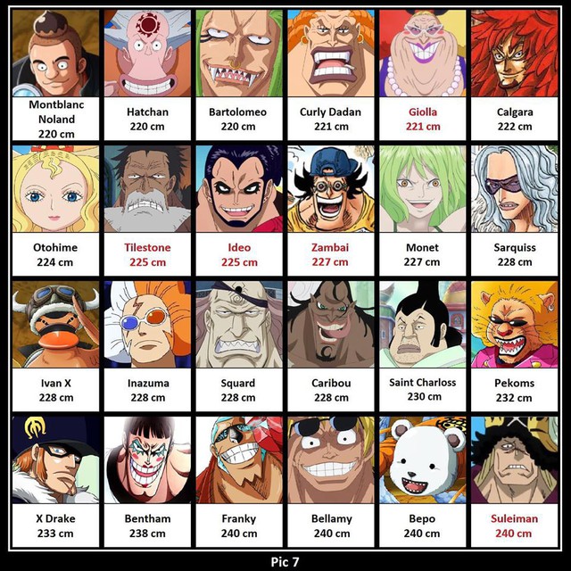 One Piece: So sánh chiều cao các nhân vật, có những người tưởng thấp bé nhẹ cân ai ngờ lại cao không tưởng - Ảnh 7.