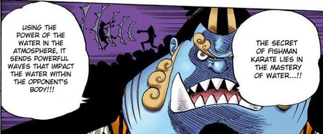 One Piece: Cửu Hồng Bao Kawamatsu có thể là Người Cá hay thuộc 1 chủng tộc mới chưa được nhắc đến - Ảnh 4.