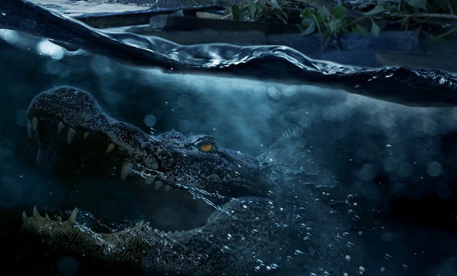 Crawl: Loài cá sấu khổng lồ đáng sợ đến mức nào? - Ảnh 6.