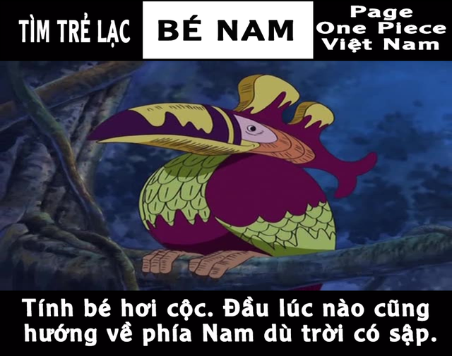 Câu chuyện bé Na mất tích đã trở thành nguồn cảm hứng bất tận cho các fan One Piece - Ảnh 3.