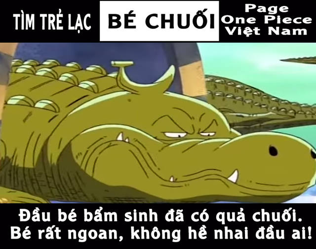 Câu chuyện bé Na mất tích đã trở thành nguồn cảm hứng bất tận cho các fan One Piece - Ảnh 4.